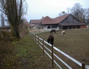 Paddock pour chevaux: Clôture